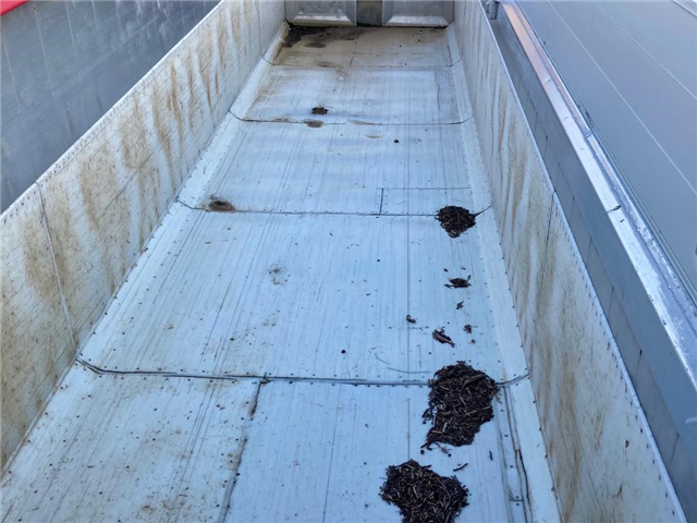 MTDK 60m3 Korn tiptrailer Nysynet