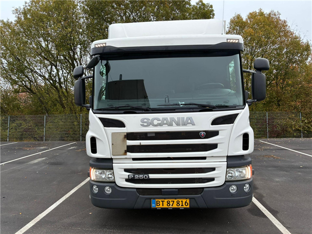 Scania P 250 LB4x2HNB